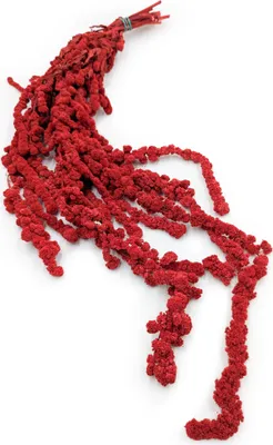 Produktbild von Stabilisiertes Amaranth Ball - Amaranth - Rot