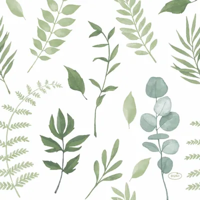 Produktbild von Duni Servietten Greenery 33 x 33 cm - 20er Pack