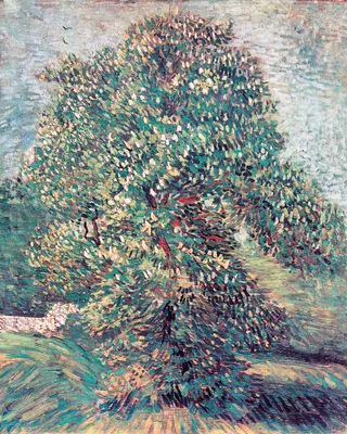 Produktbild von Vincent Van Gogh Kunstdruck Bild - Blühender Kastanienbaum I, 1887 (50 x 40 cm)