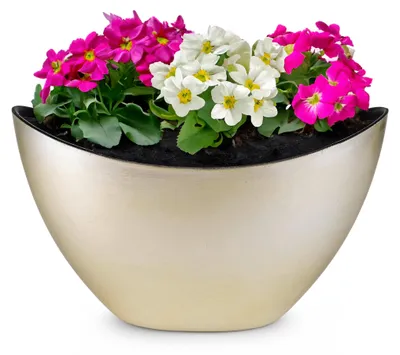 Image de Jardinière haute ovale vintage or-couleur 24 x 14 cm résistante aux intempéries