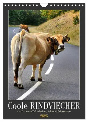 Produktbild von Coole Rindviecher (Wandkalender 2026 DIN A4 hoch), CALVENDO Monatskalender