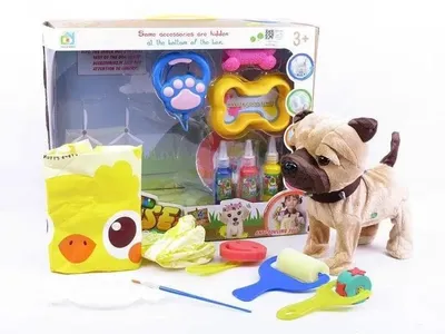 Immagine prodotto di Cane da passeggio + accessori