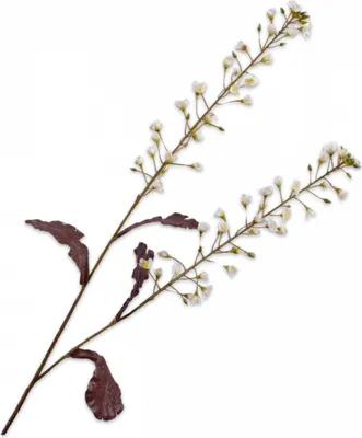 Produktbild von Silk-ka Künstliche Blume – Seidenblume Primelzweig cremefarben 85 cm
