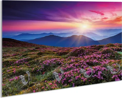 Produktbild von Wallario Handtuchhalter aus Glas, Motiv: Blumenbedeckte Wiese bei Sonnenuntergang, 30 x 20 cm mit 4 Haken