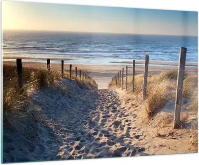 Produktbild von Bilder auf glas - Meer Strand Düne - 100x70cm - Glasbilder - Wandbilder - Kunstdruck - zum Aufhängen bereit - Wanddekoration aus Glas - Glas Bilder - Wandbild auf Glas - Einteilig - GAA100x70-3612