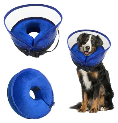 Produktbild von Aufblasbarer Hundekragen zur Erholung nach der Chirurgie
