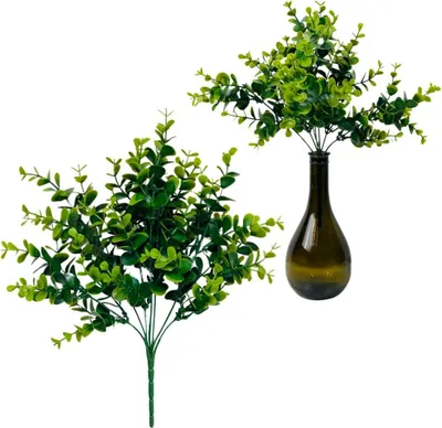 Obrázek produktu pro Eukalyptus - svazek listů, eukalyptová větev 35 cm