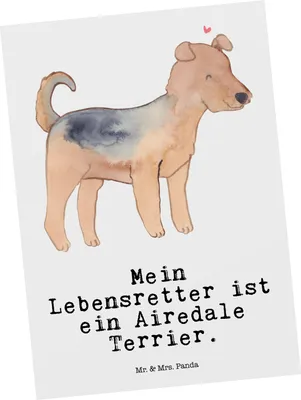 Produktbild von Mr. & Mrs. Panda Postkarte Airedale Terrier Lebensretter - Weiß - Geschenk, einzelkarte, Ansichtskarte, Grußkarte, Postkarten, Ansichtskarten