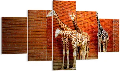 Produktbild von Bild auf Leinwand - Leinwandbild - Tiere Giraffen Zoo Familie - 125x70cm - Wand Bild - Wanddeko - Leinwanddruck - Bilder - Kunstdruck - Wanddekoration - Leinwand bilder - Wandkunst - EA125x70-2643