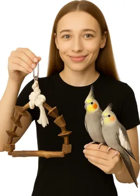 Image de Natural Wooden Joy - Balançoire pour perroquets de petite et moyenne taille