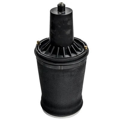 Image de Ressort pneumatique avant Suspension pneumatique pour Range Rover P38 LP REB101740 droite-gauche