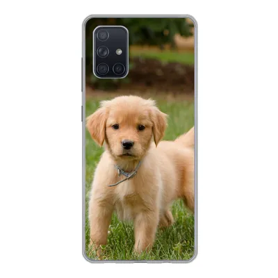 Produktbild von MuchoWow® Handyhülle Schutzhülle Hülle für Samsung Galaxy A51 5G Golden Retriever Welpe im grünen Gras Silikon Softcase Handy Hülle - Abbildung