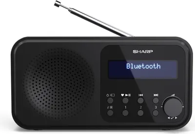 Image de Sharp DR-P420 - Portable - Numérique - DAB - DAB+ - FM - Recherche automatique