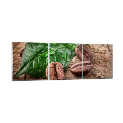 Produktbild von Bilder auf glas - Aroma Kaffee Pflanze Samen - 90x30cm - Glasbilder - Wandbilder - Kunstdruck - zum Aufhängen bereit - Wanddekoration aus Glas - Glas Bilder - Wandbild auf Glas - GCA90x30-2548