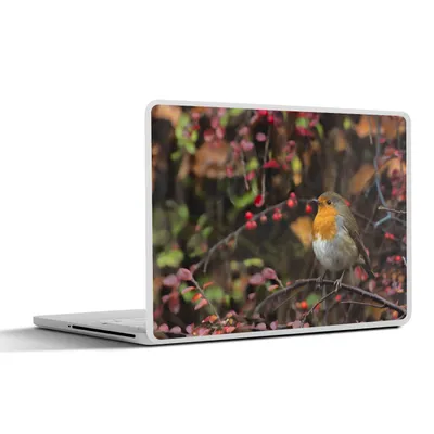 Produktbild von MuchoWow® Laptop Aufkleber Sticker Cover Äste - Rotkehlchen - Natur 25x18 cm - Laptop-Deko