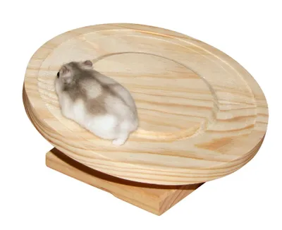 Produktbild von KERBL Rotierendes Hamsterrad, 20 cm