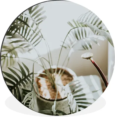 Produktbild von MuchoWow® Aluminium Wandkreis Pflanze im Wohnzimmer Ø 60 cm Wanddeko Modern Wohnzimmer - Wand Kreis - Wandbild - Schlafzimmer - Aluminium Bild - Kinderzimmer - Wohnzimmer Dekoration - Wandschmuck
