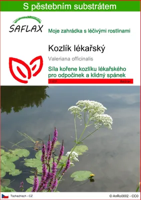 Obrázek produktu pro SAFLAX - kozlík lékařský - Valeriana officinalis - 200 Semena - S pěstebním substrátem bez klíčků