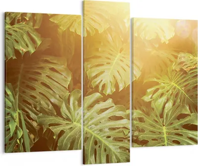 Produktbild von Bild auf Leinwand - Leinwandbild - 3 Teile - Blätter Monstera Licht - 95x80cm - Wand Bild - Wanddeko - Wandbilder - Leinwanddruck - Bilder - Wanddekoration - Leinwand bilder - Wandbild - CB95x80-4540
