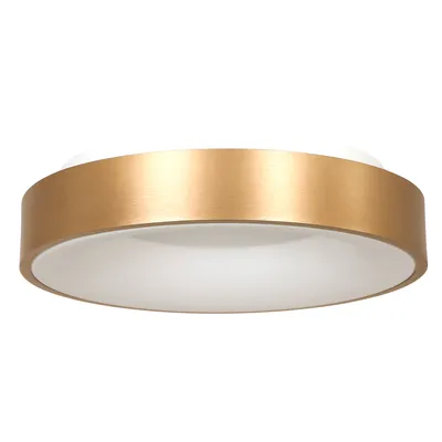 Produktbild von Steinhauer Deckenleuchte Ringlede 1-flammig Gold gebürstet/ Weiß 48x48cm