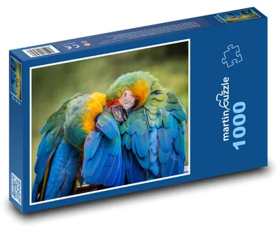 Obrázok produktu pre Puzzle 1000 Papagáje v objatí - martinpuzzle
