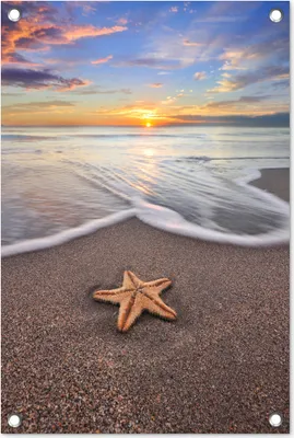 Produktbild von MuchoWow®