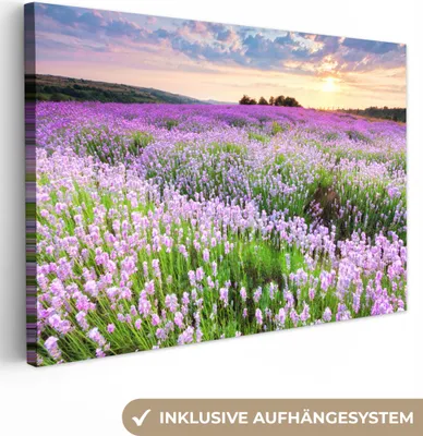 Produktbild von MuchoWow® - Leinwandbilder - Blumen - Lavendel - Lila - Himmel - Sonnenuntergang - Wiese - Natur, Wandbild, Wanddeko Bilder Wohnzimmer, 120x80cm
