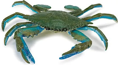 Produktbild von Safari spieltier Atlantikkrabbe 19 cm grün/blau
