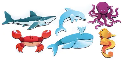 Obrázek produktu pro EDUPLAY 120675 Magnetické puzzle mořští živočichové, pestrobarevné
