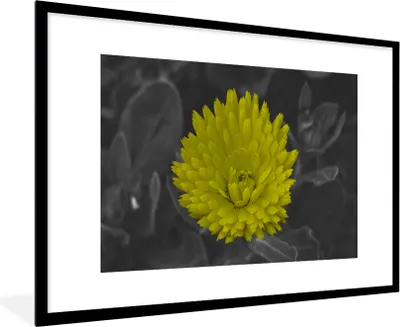 Produktbild von MuchoWow® Gerahmtes Poster Blumen - Aquarell - Löwenzahn 90x60 cm - Poster mit Schwarzem Bilderrahmen Wandposter Rahmen Foto Bilder - Wanddekoration - Fotos