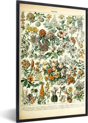 Produktbild von MuchoWow® Gerahmtes Poster Blumen - Orange - Gelb 60x90 cm - Poster mit Schwarzem Bilderrahmen Wandposter Rahmen Foto Bilder - Kunst