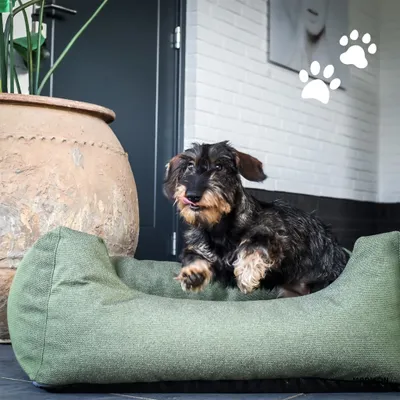 Image de Madison Lit pour chien d'extérieur Manchester 80x67x22 cm Taupe