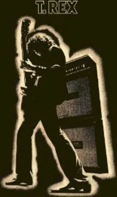 Image de Electric Warrior (Remastered)