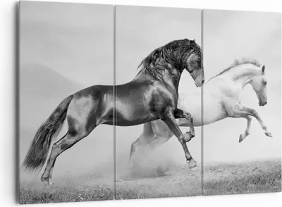 Produktbild von Bild auf Leinwand - Leinwandbild - Pferde Tiere Galopp Wiese - 165x110cm - Wand Bild - Wanddeko - Leinwanddruck - Bilder - Kunstdruck - Wanddekoration - Leinwand bilder - Wandkunst - CE165x110-2683