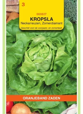 Productafbeelding van Oranjeband kropsla, Neckarriese-variëteit - 1 zakje zaden