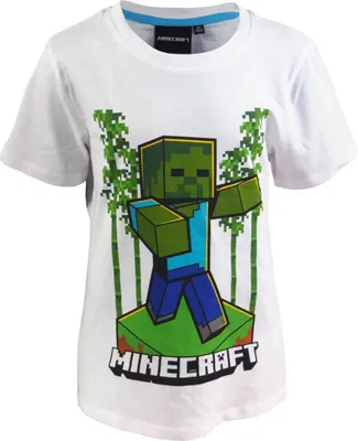 Zdjęcie produktu dla MINECRAFT-T-SHIRT (Forkids - Rozmiar: 12)