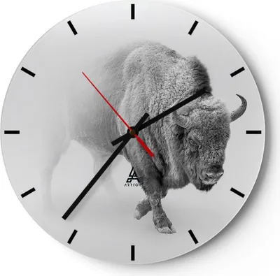 Produktbild von Wanduhr - Rund - Glasuhr - Wisent Schwarzweiß Licht - 30x30cm - Schleichendes Uhrwerk - Lautlos - zum Aufhängen bereit - Dekoration Modern - Wanddekoration aus Glas - C3AR30x30-4418