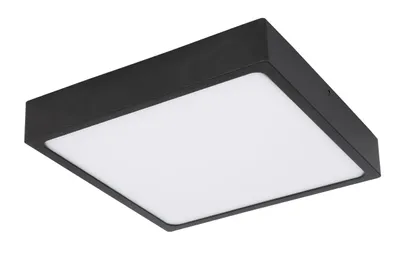 Produktbild von Globo Lighting Deckenleuchte Metall schwarz matt, Acryl opal, satiniert, dimmbar, LxBxH: 170x170x26mm, inkl. LED 22W 230V, 2600lm Source, 1700lm Output, 4000K