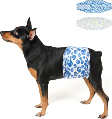 Immagine prodotto di Pannolini per cani maschi, usa e getta, confezione da 40 pezzi, con indicatore di umidità, taglia XS, per cani di piccola taglia