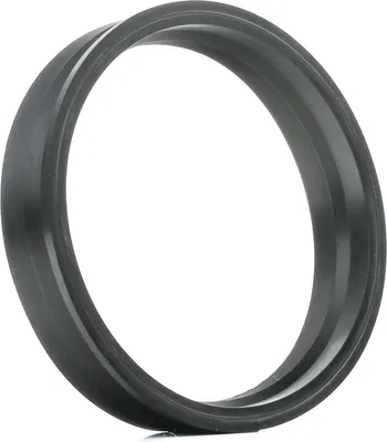 Produktbild von TOPRAN Dichtung Tankgeber 116 127 für VW Golf IV Schrägheck (1J1) POLO (9N_)