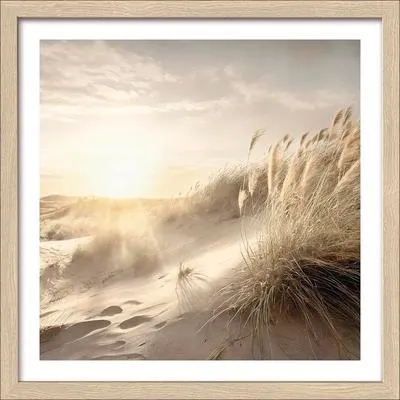 Produktbild von Gerahmtes Bild Dune Grass At Sunrise 33x33 cm