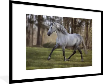 Produktbild von MuchoWow® Gerahmtes Poster Pferd - Pilz - Gras 90x60 cm - Poster mit Schwarzem Bilderrahmen Wandposter Rahmen Foto Bilder - Wanddekoration - Fotos