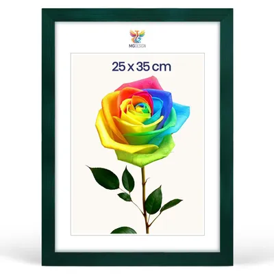 Obrázok produktu pre MG Design, rám na fotografie, 25 x 35 cm – fotorám s zeleným dreveným rámom (masívne drevo) a nárazuvzdorným akrylovým sklom, vhodný na zavesenie aj na postavenie (vertikálne aj horizontálne)