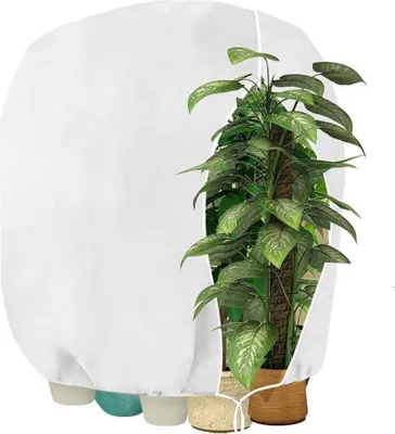 Image de HERILIOS Protection hivernale des plantes Couverture des plantes contre le gel 120x180cm