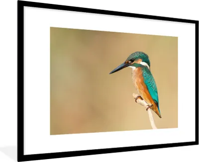 Produktbild von MuchoWow® Gerahmtes Poster Eisvogel - Tiere - Vogel 90x60 cm - Poster mit Schwarzem Bilderrahmen Wandposter Rahmen Foto Bilder - Wanddekoration - Fotos