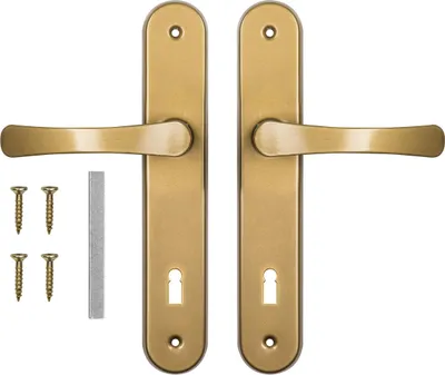 A set of two gold door handles with a keyhole on each plate, along with screws and a metal bar.