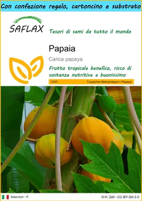 Immagine prodotto di SAFLAX Set regalo - Papaia - 30 semi - Carica