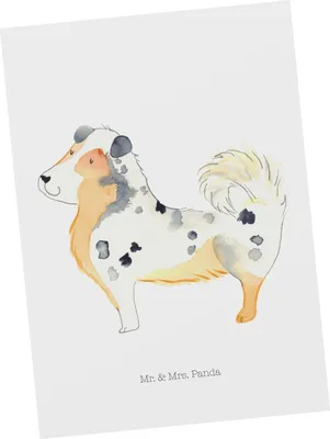 Produktbild von Mr. & Mrs. Panda Fotokarte Hund Australien Shepherd - Weiß - Geschenk, Postkarten, Postkarte, Grußkarte, Ansichtskarte, Familienhund, Ansichtskarten, Spruch, Sprüche