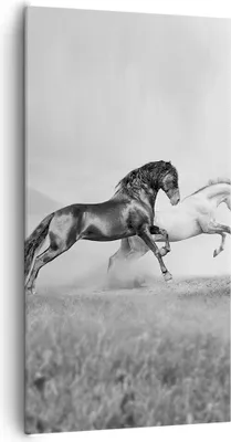 Produktbild von Bild auf Leinwand - Leinwandbild - Pferde Tiere Galopp Wiese - 65x120cm - Wand Bild - Wanddeko - Leinwanddruck - Bilder - Kunstdruck - Wanddekoration - Leinwand bilder - Wandkunst - PA65x120-2683
