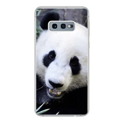 Produktbild von MuchoWow® Handyhülle Schutzhülle Hülle für Samsung Galaxy S10e Panda - Tier - Blätter Silikon Softcase Handy Hülle - Handy